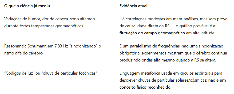 TABELA 01